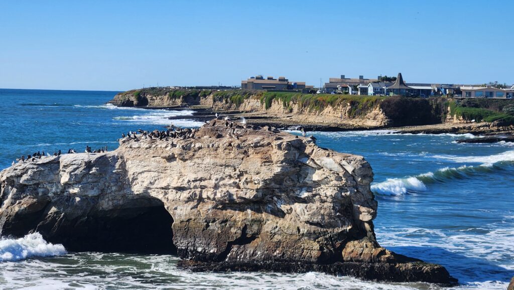 Natural Bridges and the Santa Cruz coastline